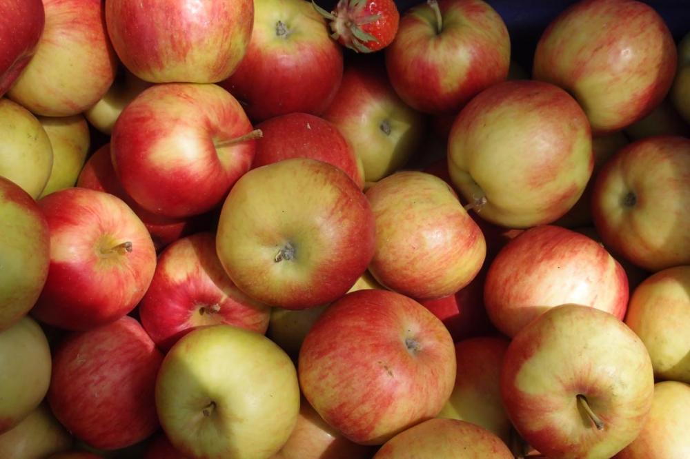 Hofläden - regionale Produkte vom See