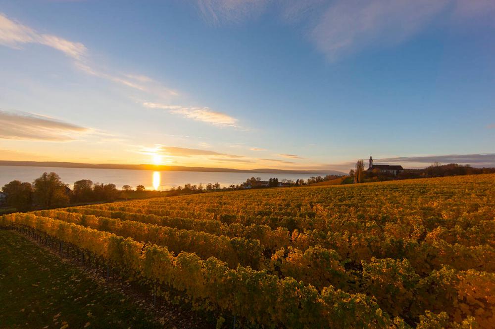 Seeferien Herbstgenuss