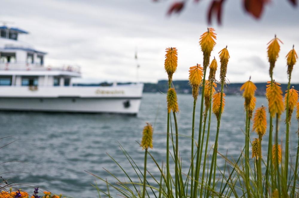 Goldige Aussichten für alle Schifffahrt-Fans
