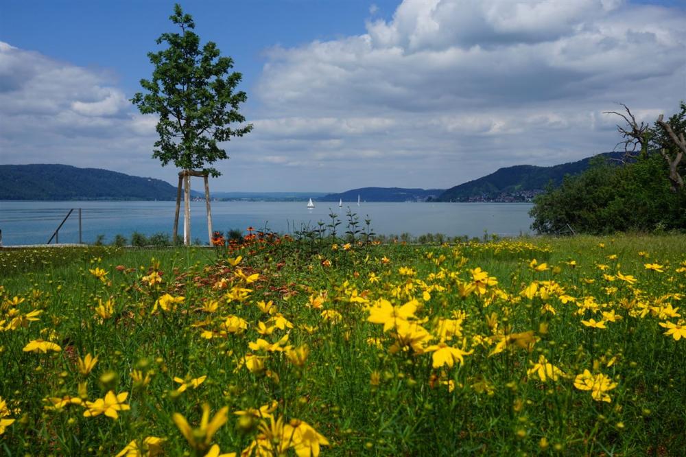 Öffnungszeiten 2021