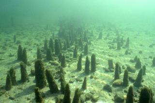 Prähistorische Pfahlbauten