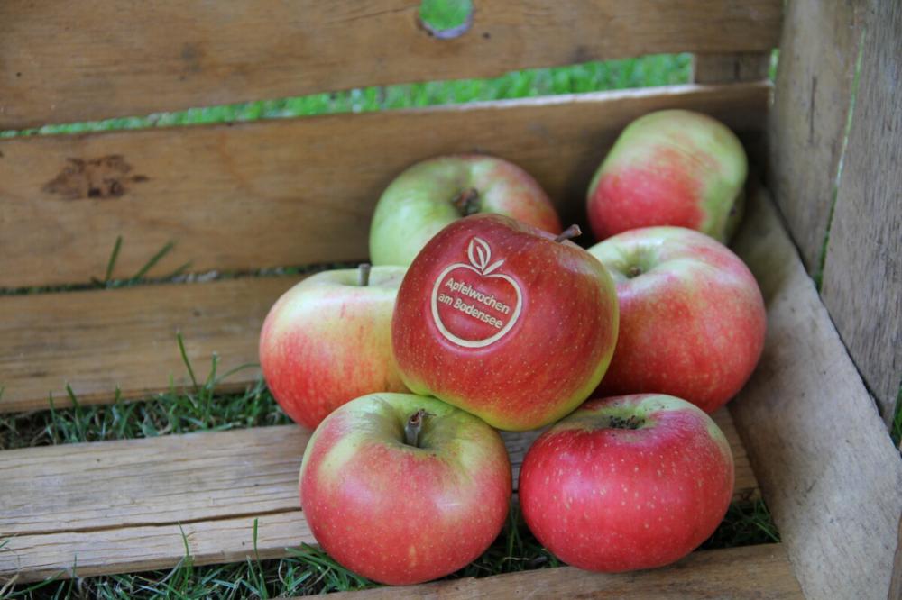 Apfelwochen am Bodensee